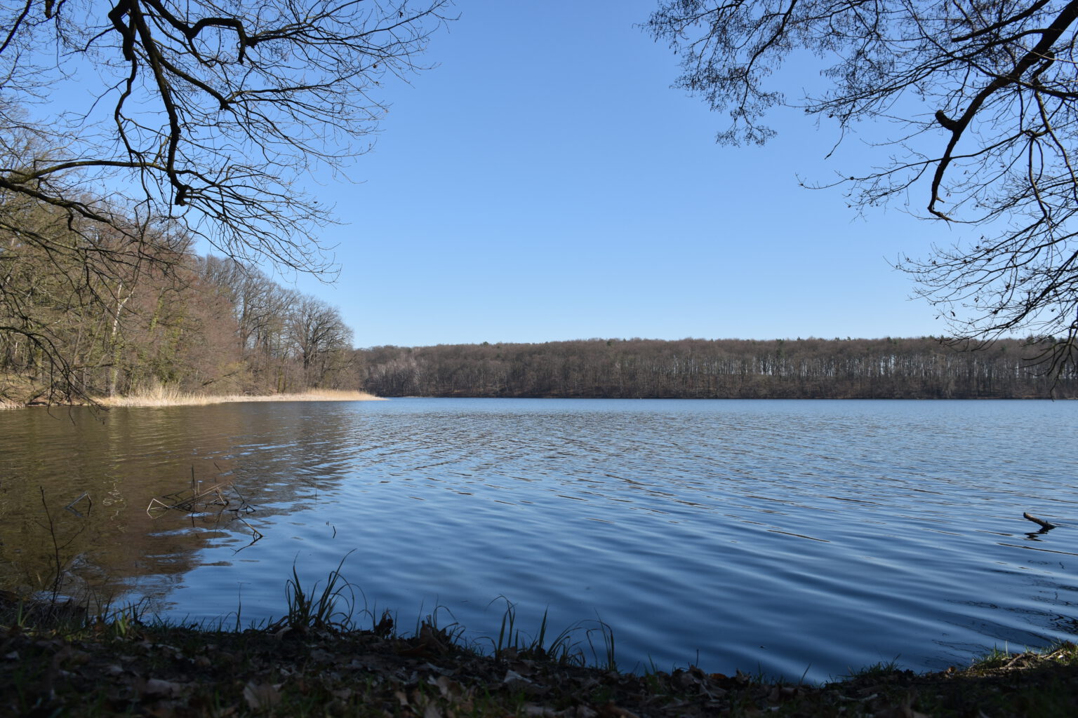 [Wanderung] Heinersdorfer See Booklovers Reisen und mehr....
