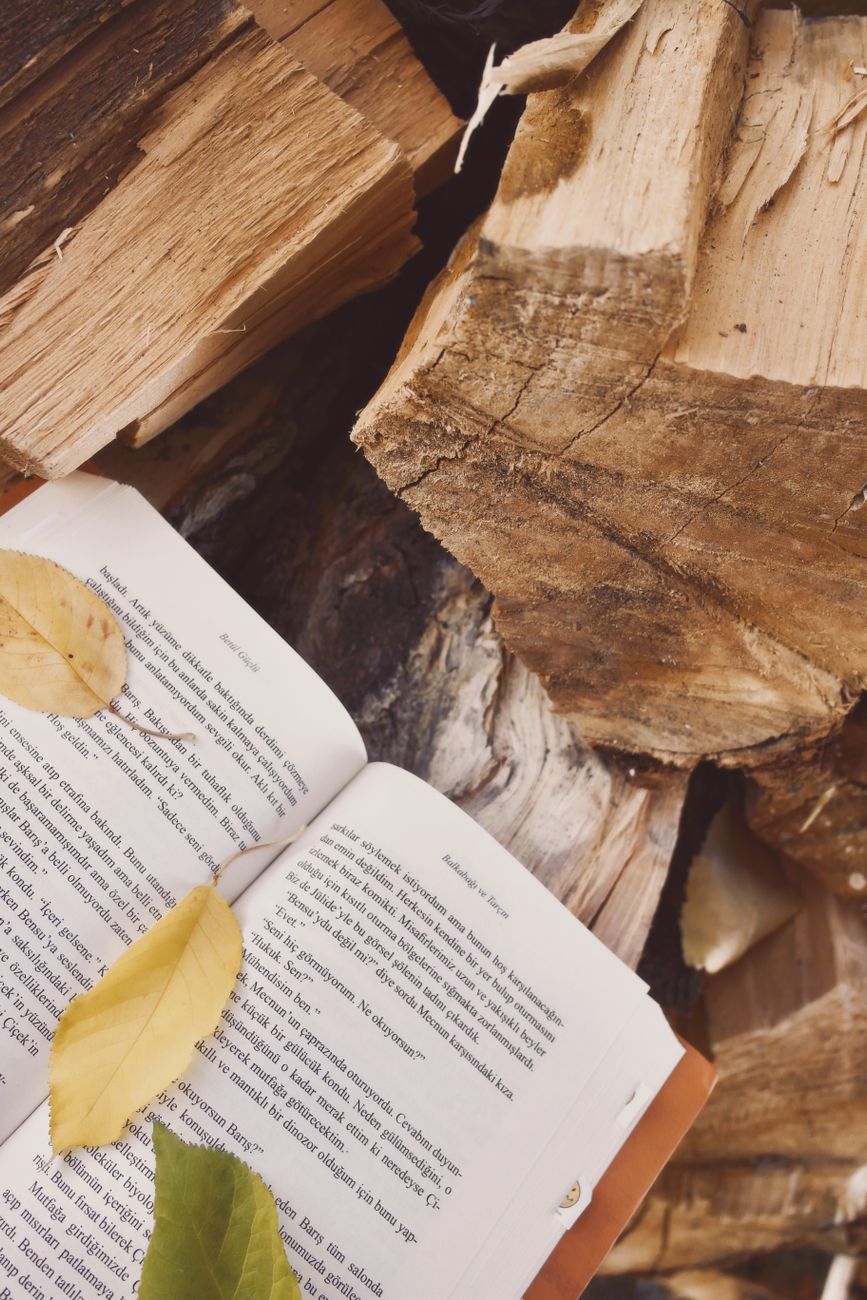 open book on a timber and fallen leaves